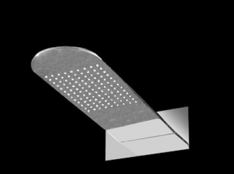 Chrome shower head