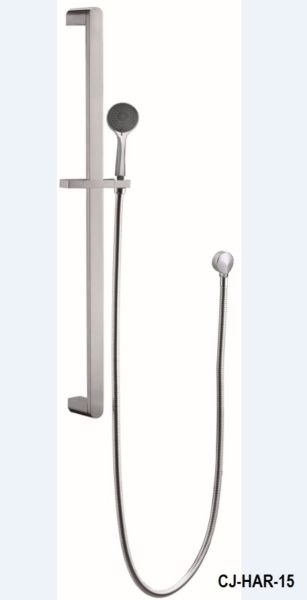 Ceejay harmonee hand shower & rail brass