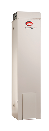 Dux 170L Natural Gas