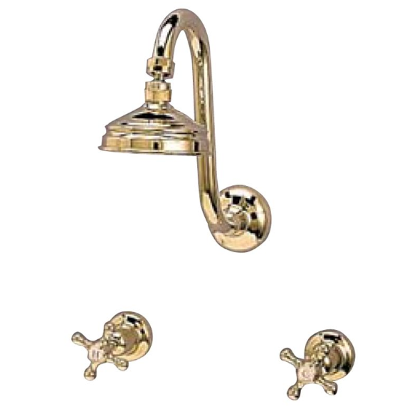 Federation fixed g/neck shower set 100mm rose