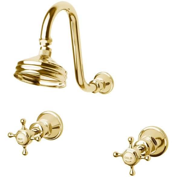 Victorian g/neck shower set BJNT 100mm ROS