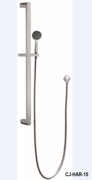 Ceejay Harmonee hand shower & rail