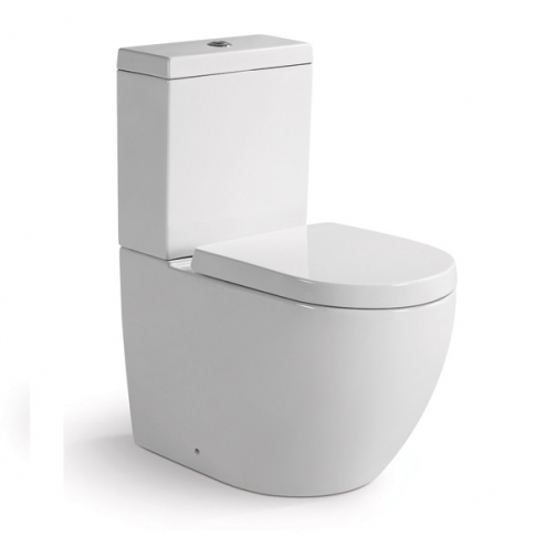 Fienza BTW toilet suite S Trap